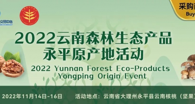2022 YUNNAN FOREST ECO-PRODUCTS YONGPING ORIGIN EVEN